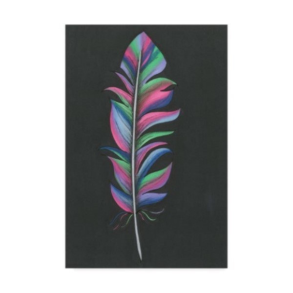 Trademark Fine Art Nicky Kumar 'Colorful Feather' Canvas Art, 12x19 ALI43899-C1219GG